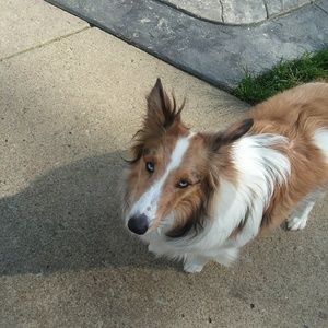 Meet your Posher, Kaitlyn